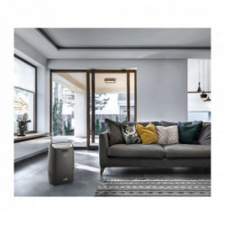 De’Longhi DEXD216F 2,1 L 40 dB 290 W Grigio, Bianco