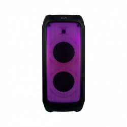 40W Rechargeable Speaker With One Wired Microphone RF Control & Handle 2*8 inch