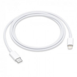 Apple Cavo da Lightning a USB-C (1 m)