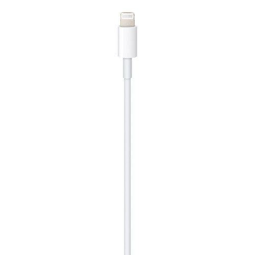 Apple Cavo da Lightning a USB-C (1 m)