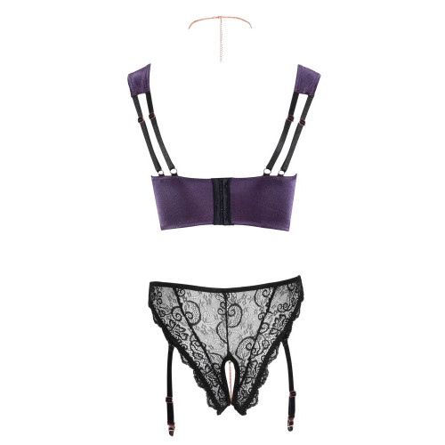 Abierta Fina Shelf Bra and Crotchless Suspender...
