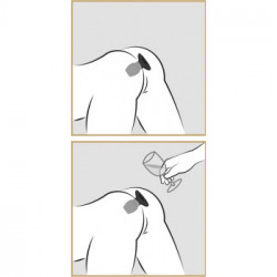 Anal Fantasy Collection - Plug Anale Gonfiabile con Tappo, Nero