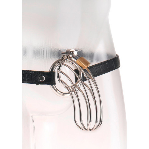 Fetish- Gabbia Metallica per il Pene, Astinenza...