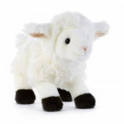 KYRAK AGNELLO 21CM