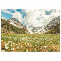 PUZZLE 1000 PZ Primavera in Valmalenco
