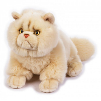 CHRYSTAL GATTO PERSIANO MY...