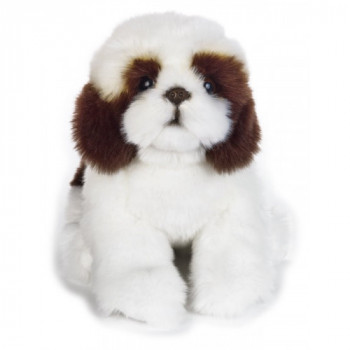 KORI SHIH TZU MY PUPPY