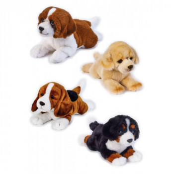 PETS DOGS STESI ASS. MY PUPPY