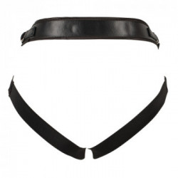 You2Toys - Strap On, Imbracatura Regolabile, Set 2 Dildi, Viola