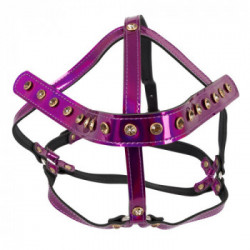 Bad Kitty Head Harness - Maschera
