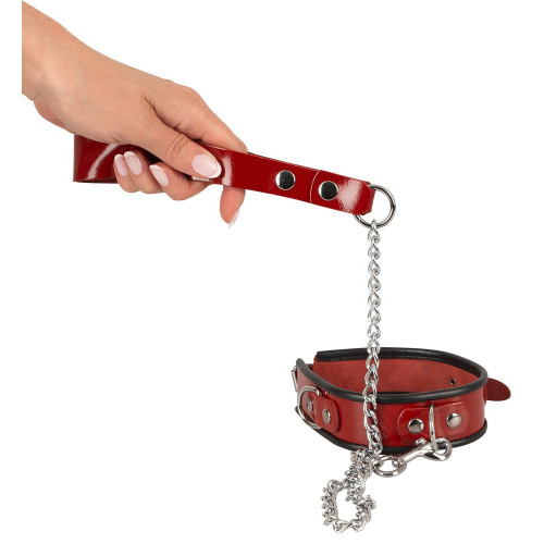 Zado - Collare con Guinzaglio, Polsino da...
