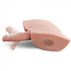 PDX - Masturbatore a Torso Maschile, Interattivo, Pene Realistico, Ricaricabile, Stimolante