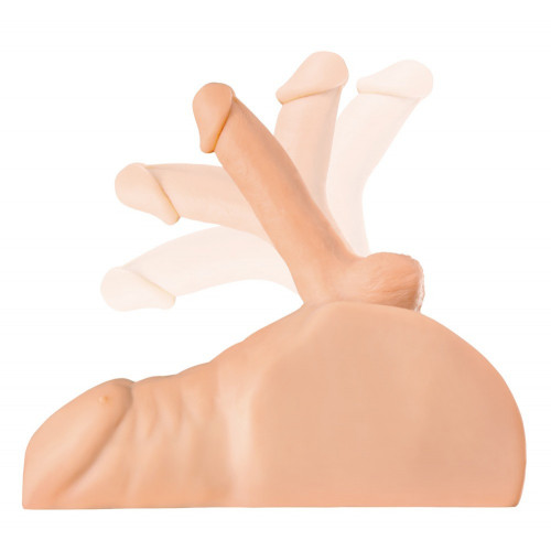 PDX Plus - Masturbatore a Torso Maschile, Pene...