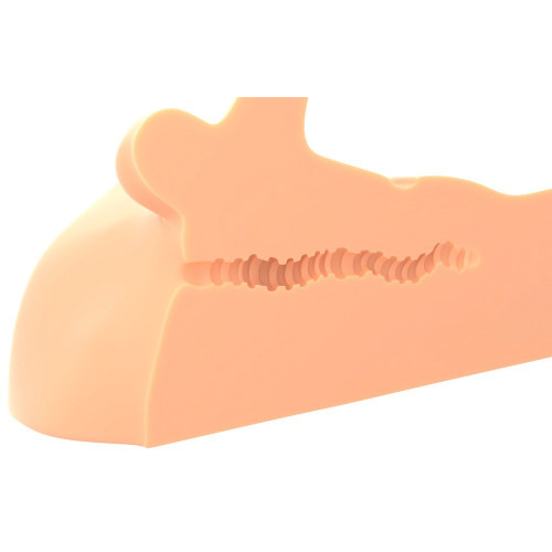 PDX Plus - Masturbatore a Torso Maschile, Pene...