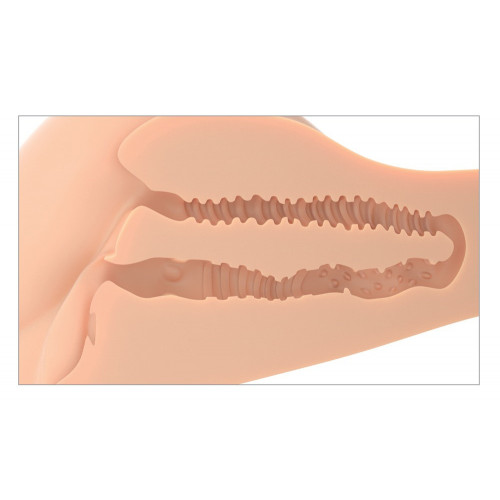 PDX Plus - Masturbatore a Torso, Carnagione...