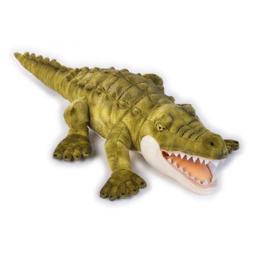 COCCODRILLO