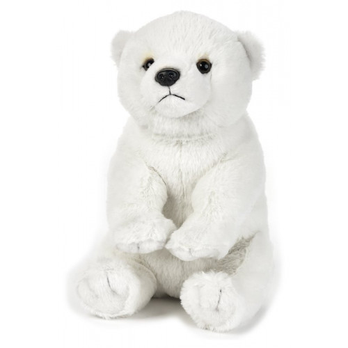 ORSO POLARE MEDIO