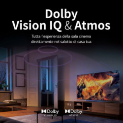 LG OLED65CS6LA.API smart Tv 65 pollici OLED 4K UHD WIFI HD R10 HLG HEVC 10 DVB-T2/C/S2