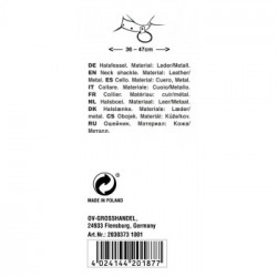 Zado Chain Collar - Collare Metallico, Regolabile, Chiusura Fibbia