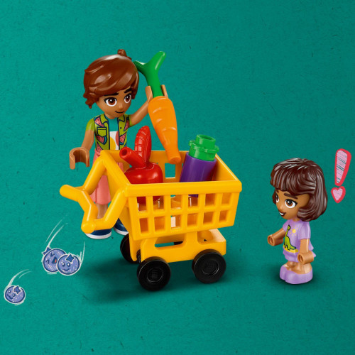 LEGO Friends Negozio di alimentari biologici