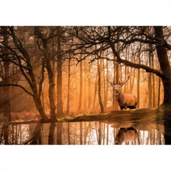 Clementoni Peace Collection... 2