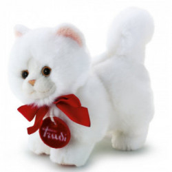 Trudino Gatto Persiano XS