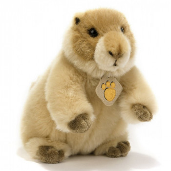 LUCY MARMOTTA 22 CM. H