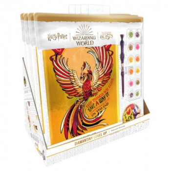 HP DIAMANTINY WIZARDING...