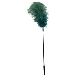Fetish Collection Turquoise Feather - Piuma, Stimolante, Turchese