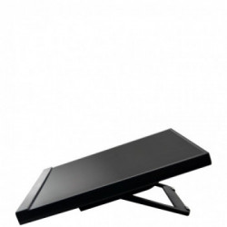 Hannspree HT 225 HPA 54,6 cm (21.5") 1920 x 1080 Pixel Multi-touch Nero