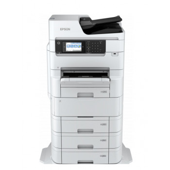Epson WorkForce RIPS...