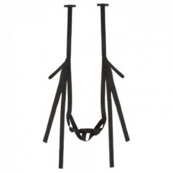 Bad Kitty Door Swing - Altalena dell' Amore