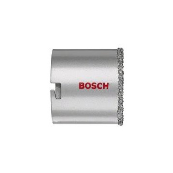 Bosch - Sega a Tazza in TC...