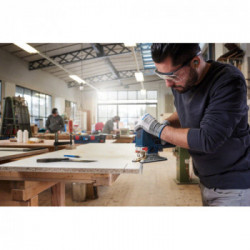 Bosch Lama per seghetto alternativo T 101 AO