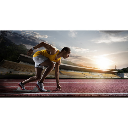 Sony BRAVIA XR-55A80J - Smart TV OLED 55...
