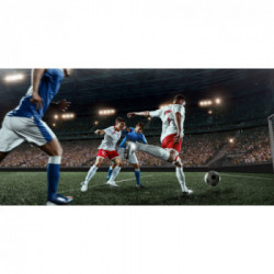 Sony BRAVIA XR-55A80J - Smart TV OLED 55 pollici, 4K ultra HD, HDR, con Google TV (Nero, Modello 2021)