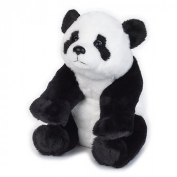 ORSO PANDA MEDIO