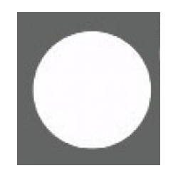 Foster 7363 355 - Fuoco a Induzione per Modular System, 350mm