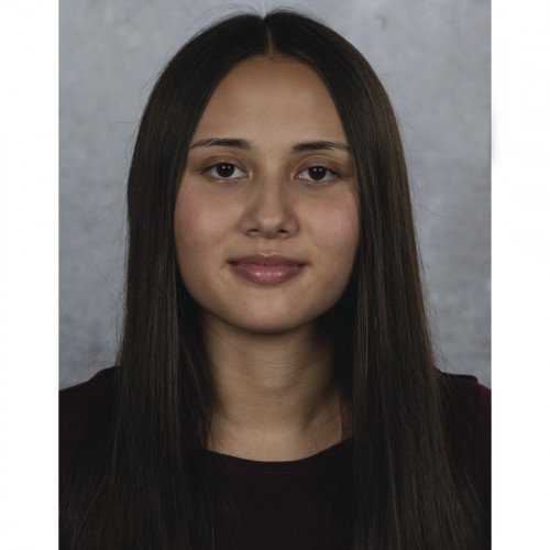 Hama SpotLight Work Area 67 anello di...