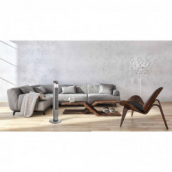 Argo Aspire Tower - Ventilatore a torre, Argento, 3 Vel 