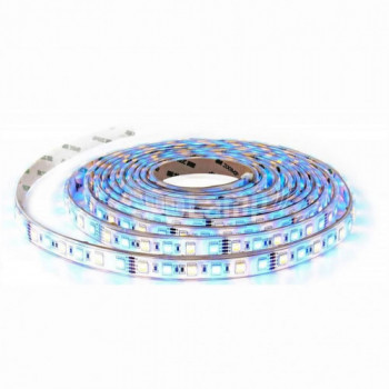 LED Strip SMD5050 - 60 LEDs...