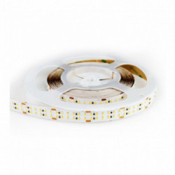 LED Strip Light - 360 LEDs IP20 6400K 24V CR95 [ packaging di 5 pezzi ]