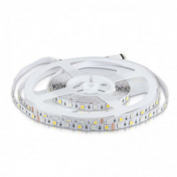 LED Strip 5050 - 60 LEDs 12V IP20 RGB + 4000K [ packaging di 5 pezzi ]