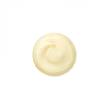 Shiseido Wrinkle Smoothing... 2