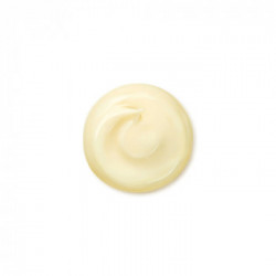Shiseido Wrinkle Smoothing Cream, 75 ml