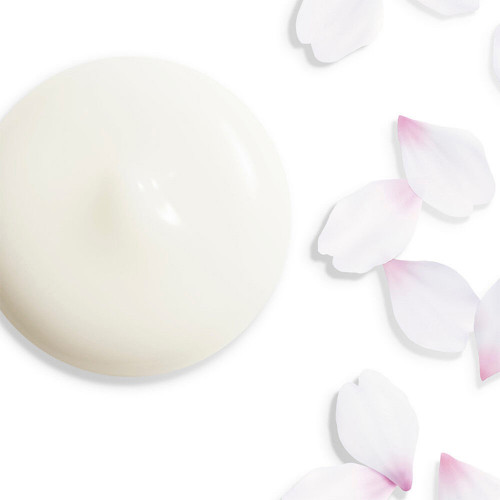 Shiseido White Lucent Illuminating Micro-Spot...