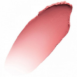 Shiseido Minimalist Whipped Powder Blush cipria