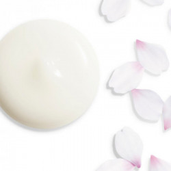 Shiseido White Lucent Illuminating Micro-Spot Serum siero viso