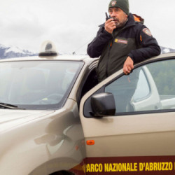 Midland XT50 Adventure ricetrasmittente 24 canali 446.00625 - 446.09375 MHz Nero, Grigio