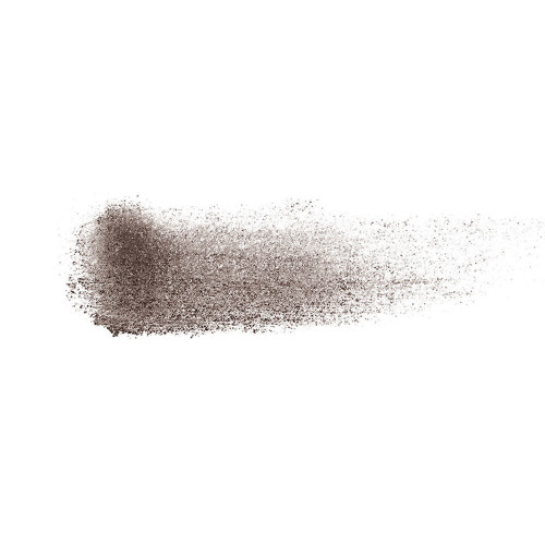 Shiseido Brow InkTrio